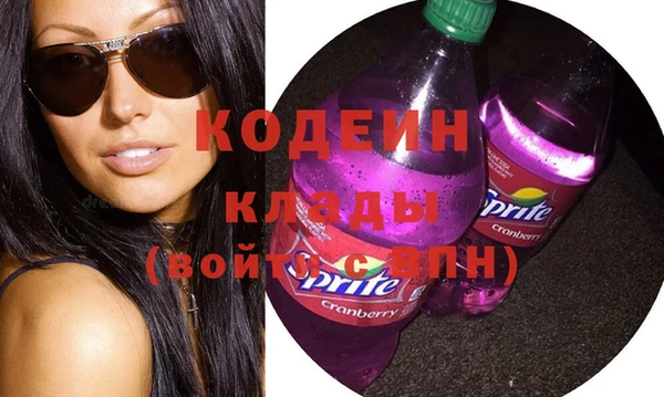 шишки Пестово