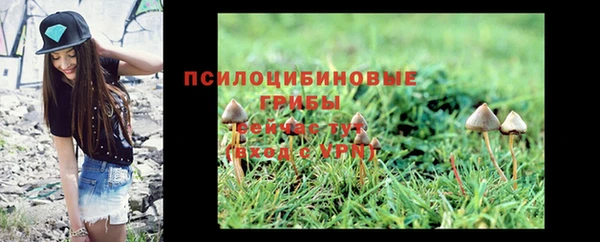 амф Переславль-Залесский