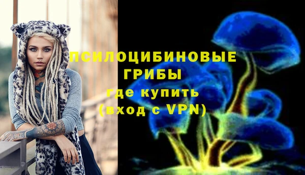 амф Переславль-Залесский