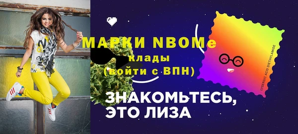 шишки Пестово