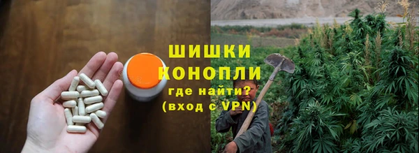 амф Переславль-Залесский