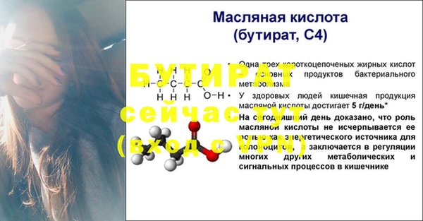 шишки Пестово