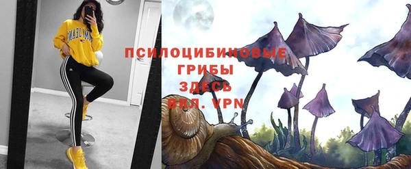 jwh Осташков
