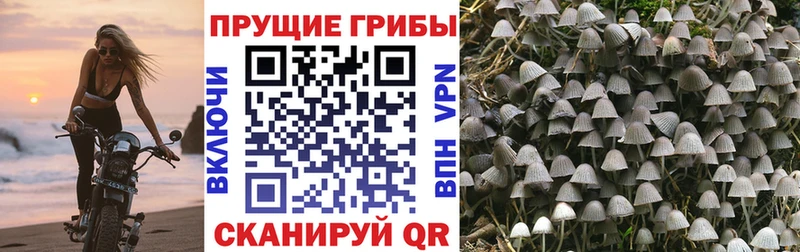 Галлюциногенные грибы мухоморы  купить наркотики сайты  Уяр 